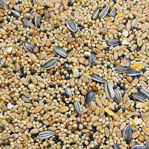 October 17th - Birdseed Sale - logo